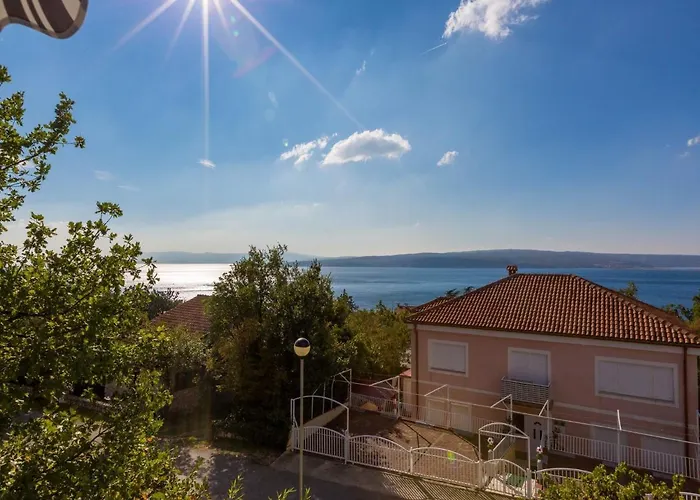Brankica *
